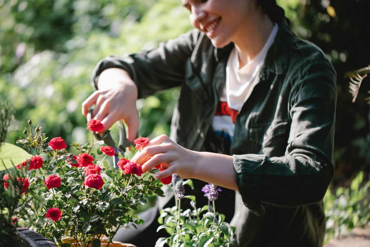 Jumpstart Your Green Thumb with Beginners Gardening Courses